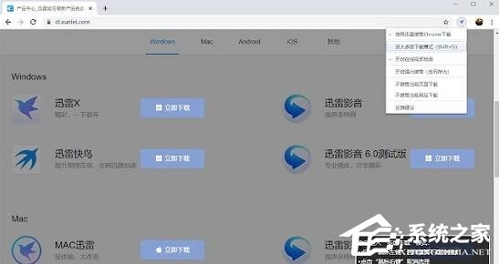 迅雷下载支持插件 V3.27 绿色版