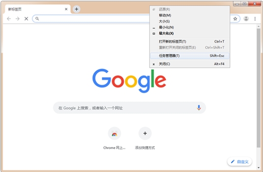 谷歌浏览器(Google Chrome) V93.0.4557.4 官方开发版