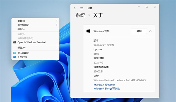 Windows11注册表导入软件 免费版