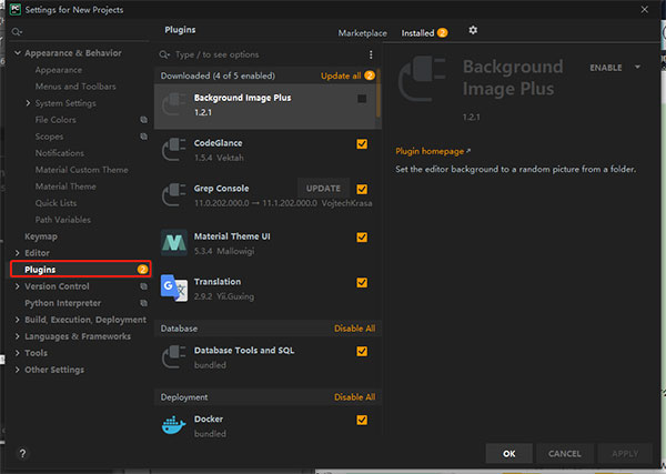 Pycharm 2021最新版 V2021.1 专业版