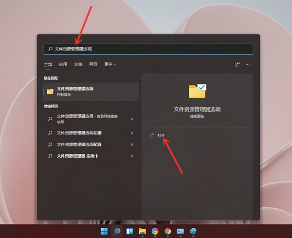 Win11如何修改文件后缀名?Win11怎么显示后缀名?
