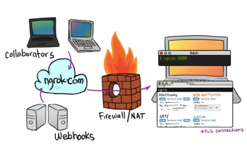 Ngrok(内网穿透软件) 免费版