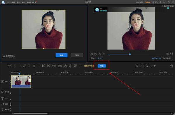 Apowersoft Video Editor V1.6.9.4 绿色免费版