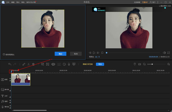 Apowersoft Video Editor V1.6.9.4 绿色免费版