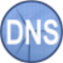 Simple DNS Plus（DNS服务器软件）V9.0 最新版