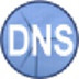 Simple DNS Plus（DNS服务器）V8.0.110 绿色版