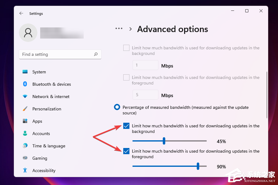 Win11网速慢怎么办?Win11网速慢提升方法教学