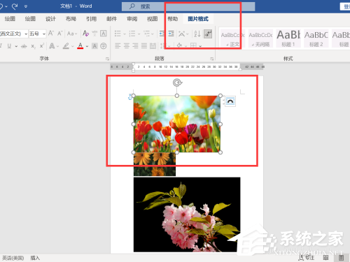 Word图片怎么统一调整大小?Word图片统一调整大小的设置方法