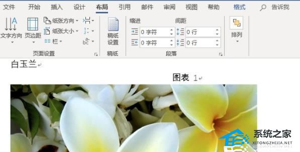 Word图片如何统一调整大小？Word全部图片调整大小操作教学