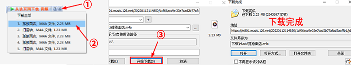 IDM怎么用?IDM怎么使用教程