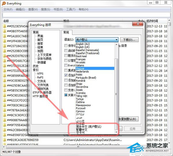 Everything(文件搜索软件) V1.4.1.1024 多国语言安装版