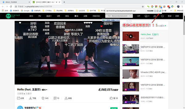猫抓插件 V2.5.2 官方版