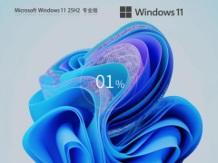 【7.14】Windows11 25H2 26200.8875 专业版