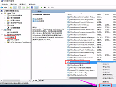 Win10更新错误代码0x800f081f怎么办-详细的方法教你解决