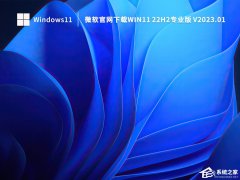 2023最新微软Win11专业版(22H2)[永久激活版，超流畅]